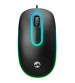 Everest SM-166 Usb Siyah Işıklı Optik Mouse